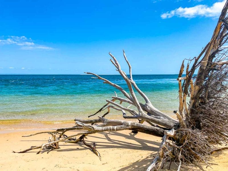 Best Camping Near Brisbane 20 Awesome Campsites within a 2 Hour Drive