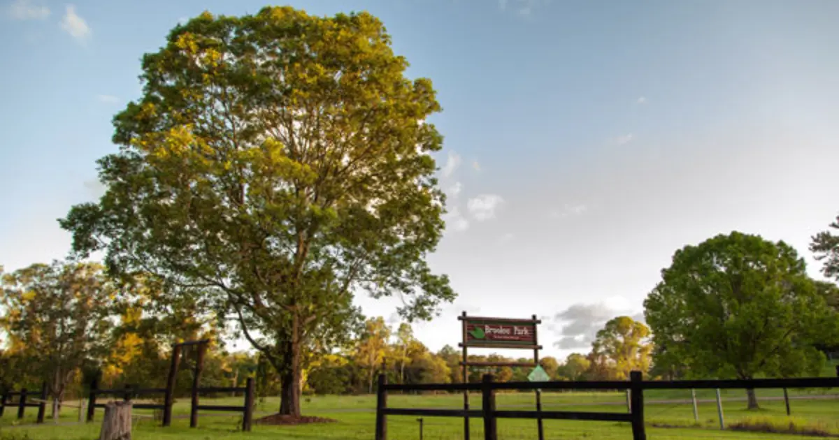 Brooloo Park - The 10 Best Sunshine Coast Fishing and Camping Spots 