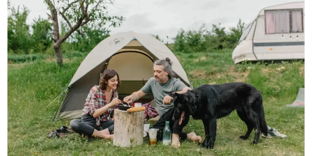 The Top 10 Hervey Bay Dog-Friendly Caravan Parks