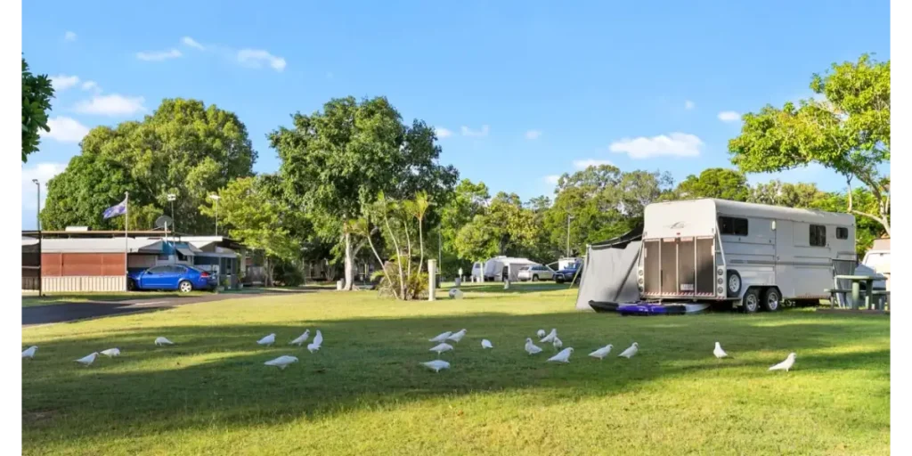 The Top 10 Hervey Bay Dog-Friendly Caravan Parks