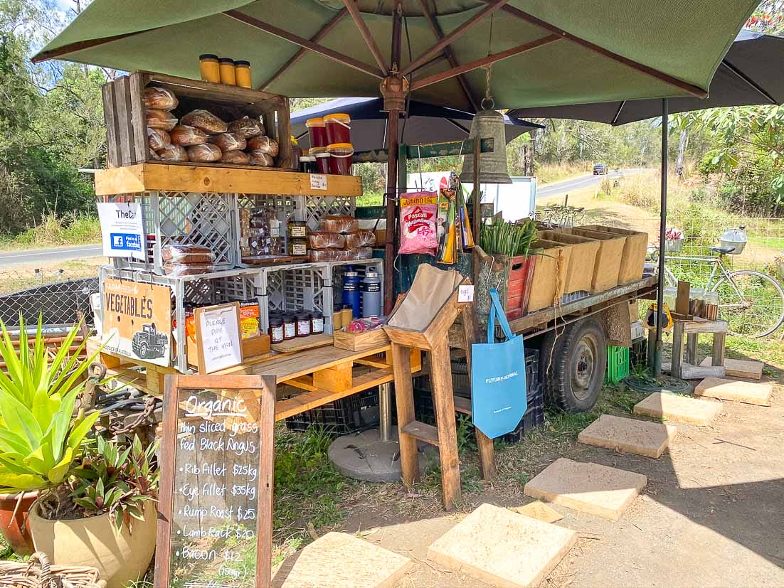 Kookaburra Park Review – Farm Stay Sunshine Coast