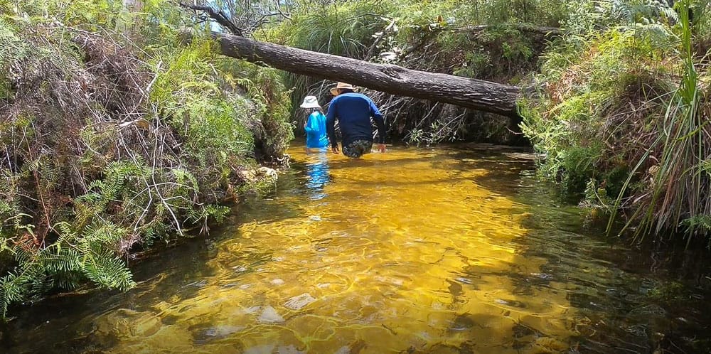 Things to do in Rainbow Beach - Searys Creek