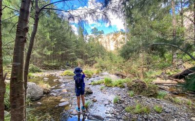 Complete Guide to the Carnarvon Gorge Walks