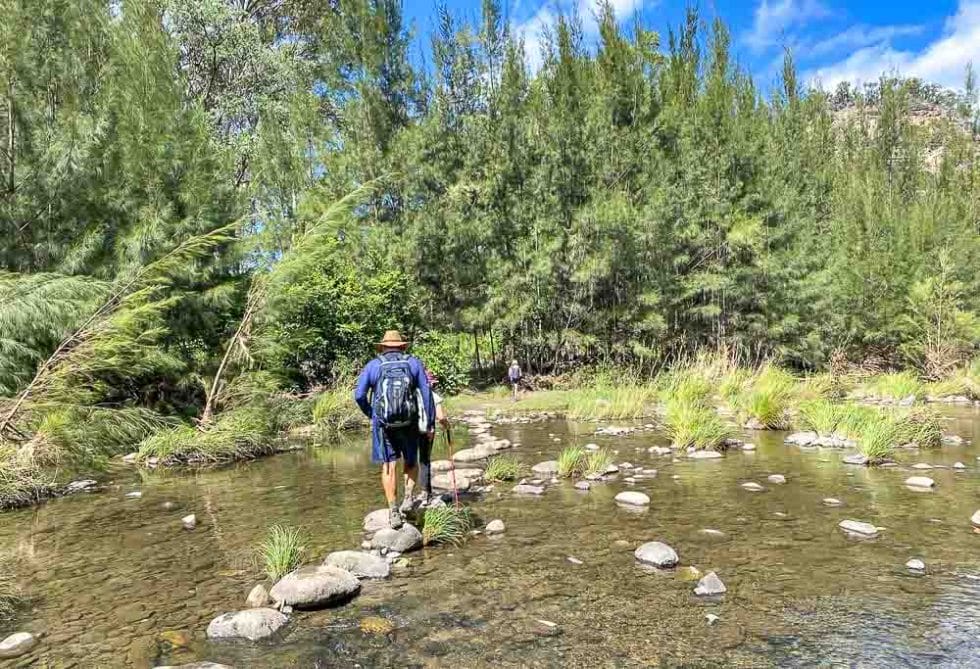 Complete Guide to the Carnarvon Walks Queensland Camping